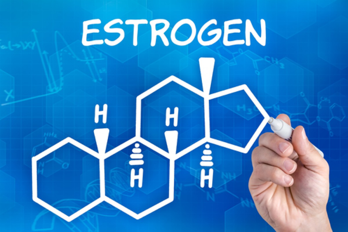 Соотношение эстрогена и прогестерона 15