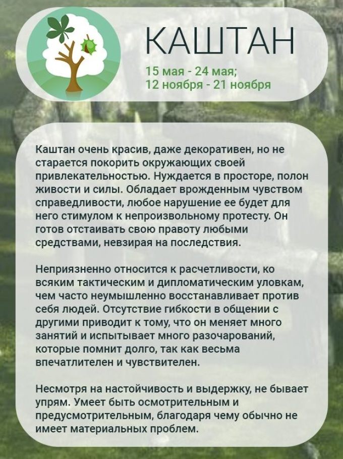 Деревья По Гороскопу Знаков