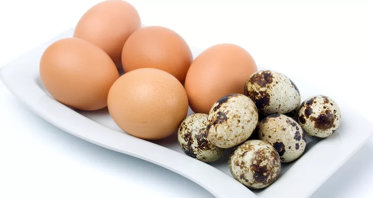 Huevos: pollo, codorniz: Mejora de la potencia debido a la proteína