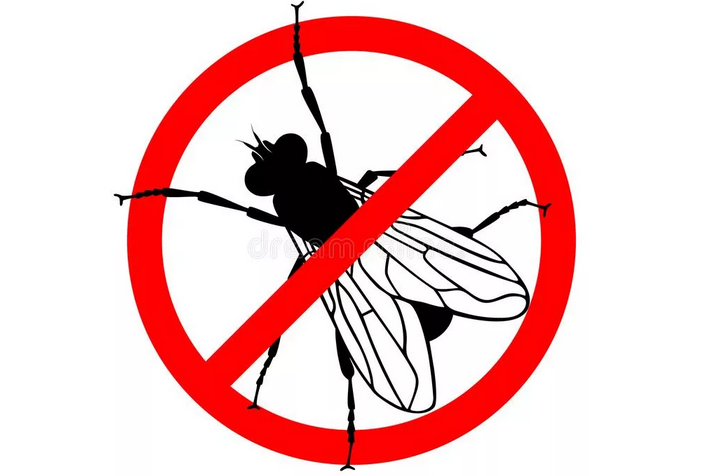 В исляма е забранено да се ядат много насекоми