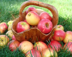 Apple Jam - Οι καλύτερες συνταγές για το χειμώνα. Πώς να μαγειρέψετε σκόπιμα κεχριμπάρι διαφανή μαρμελάδα μήλου με φέτες, πέντε λεπτά, μαρμελάδα, από τα μήλα Paradise, σε μια αργή κουζίνα;