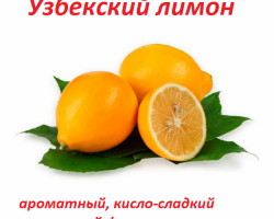 Lemones Uzbek (Tashkent): ¿Qué es, cómo son diferentes de lo ordinario, lo cual es más útil?