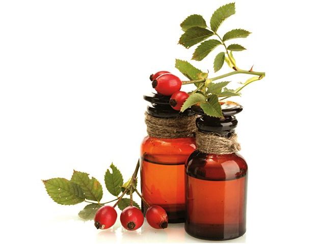 Aceite de rosas: propiedades terapéuticas, contraindicaciones e instrucciones para su uso. Rosehip Semilla Oil in Cosmetology, Ginecology, Dentistry, en la enfermedad de ENT