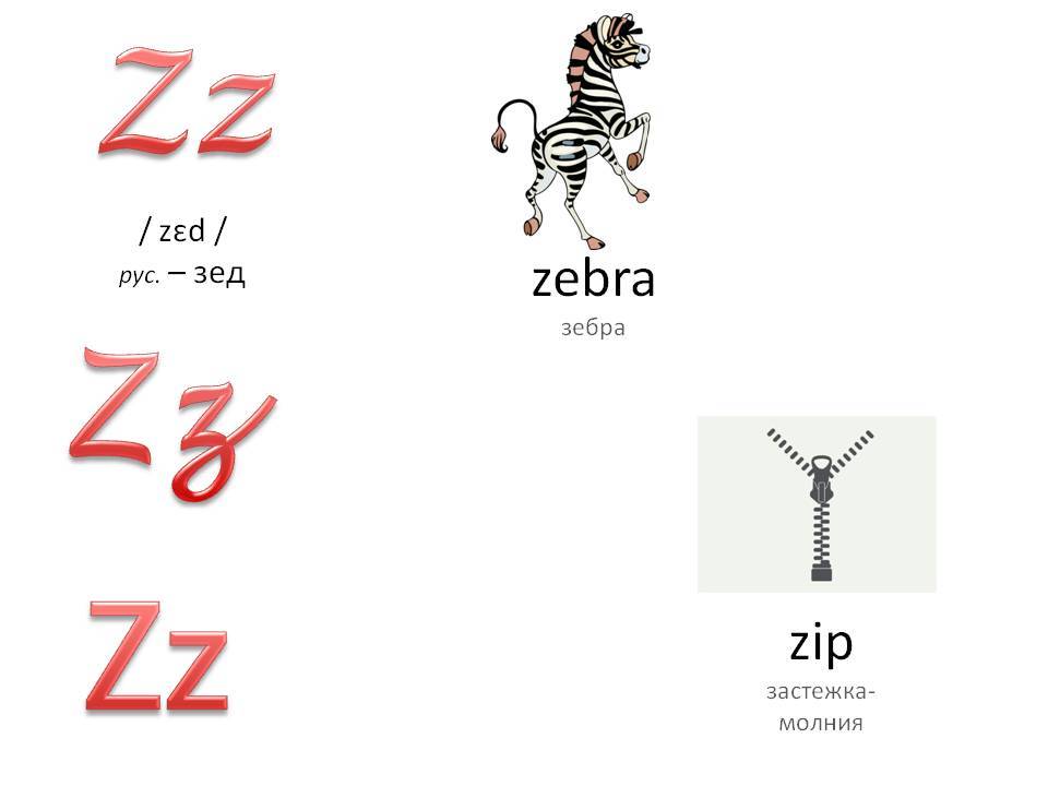 Alfabeto inglés con voz actuando para niños: letra zz
