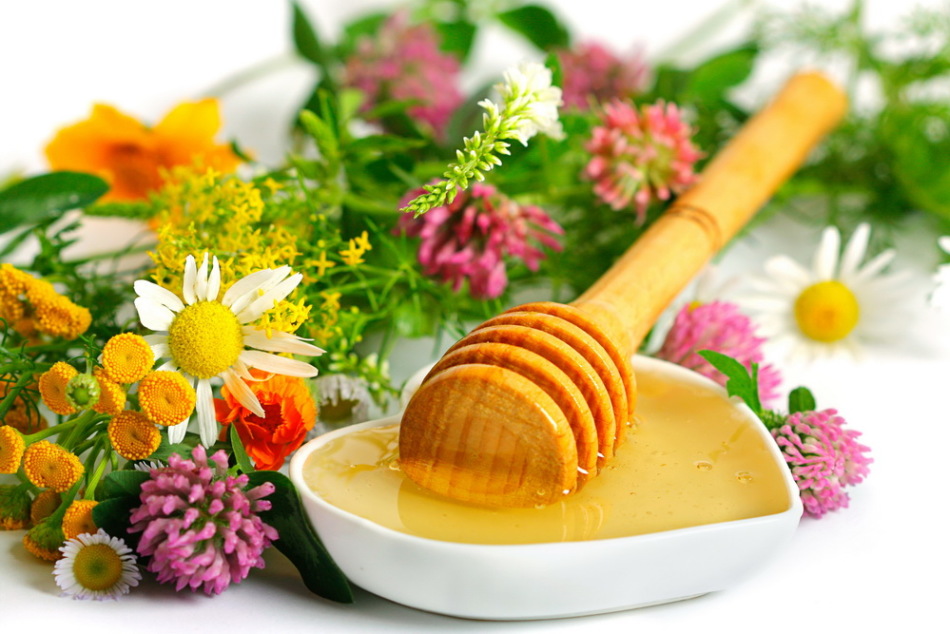 Цъфтящият мед е много популярен, но е важно да запомните, че не всички цветя всъщност го дават