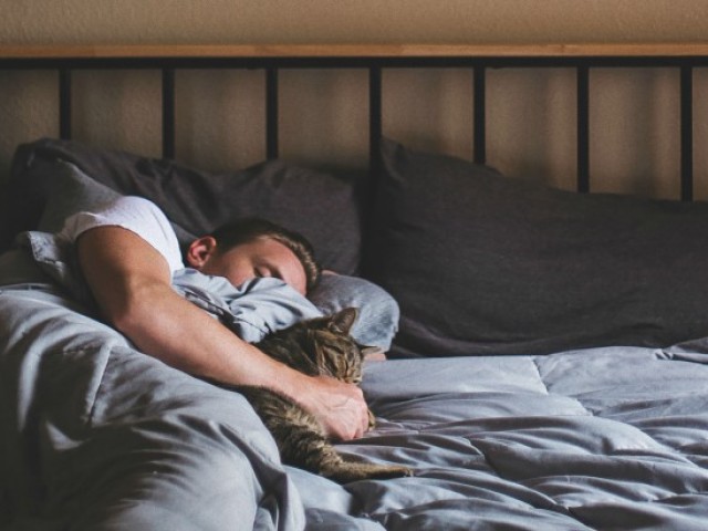 Съпрузите спят отделно: Защо двойките в отношенията трябва да спят отделно?