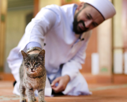 آیا مسلمانان می توانند حیوانات اهلی داشته باشند و کدام یک؟ نگرش به حیوانات در اسلام: آیا می توانید گربه ، روباه ، همستر ، موش در خانه را نگه دارید؟