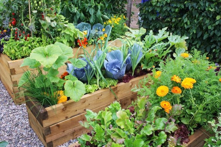 Амулети помагат при засаждане на зеленчуци, така че всичко да расте добре в градината