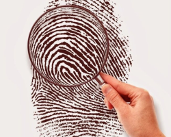 Как да разберете характера на човек по пръстови отпечатъци: дъги, бримки, къдрици, решетки, смесен модел