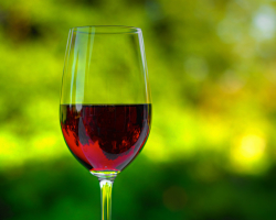 Σπιτικό κρασί από lingonberries, χύνοντας, βάμμα στη βότκα, αλκοόλ, κονιάκ: απλές συνταγές