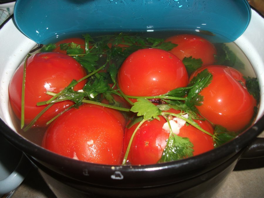 Засоленные в кастрюле помидоры.