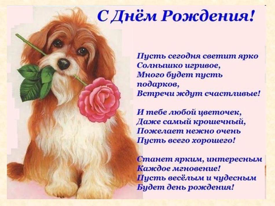 Стих Год Собаки Поздравление