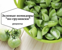 Πράσινες ντομάτες στη Γεωργιανή για το χειμώνα: Pickled, Sauer, Sharp, με λαχανικά, σκόρδο, γεμιστά με βότανα, καρότα, πιπέρι-τις καλύτερες συνταγές
