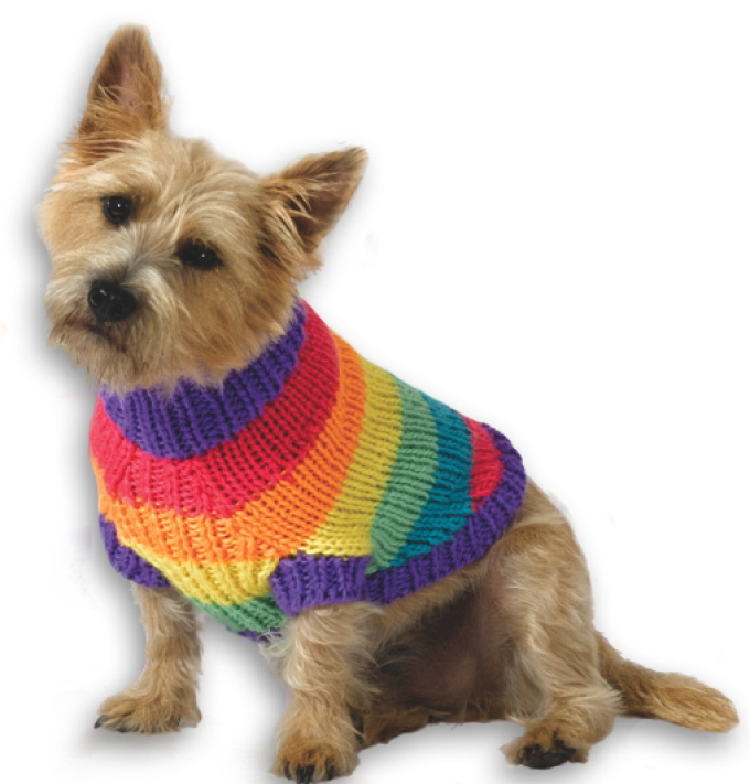 Свитер - радуга для собак
