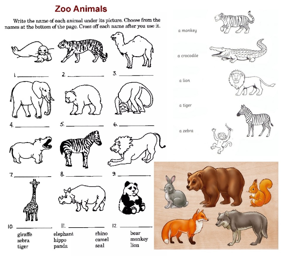 Животные на английском для детей задания