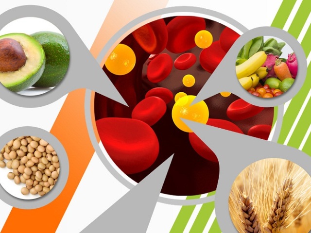 Colesterol bueno y pobre en productos o productos que reducen y aumentan el colesterol: lista, tabla. Top-10 productos que aumentan en gran medida el colesterol