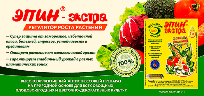 Эпин