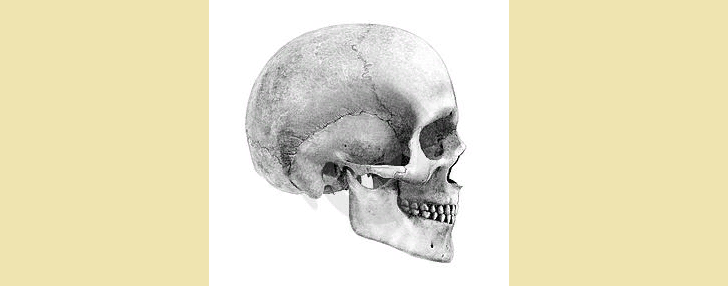 El cráneo del niño