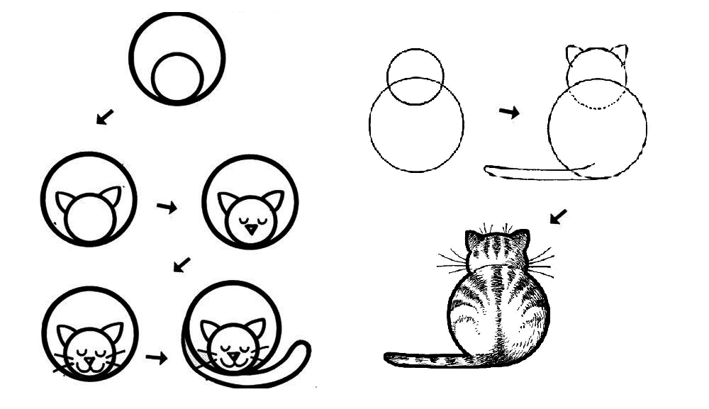 Пошаговая инструкция как нарисовать кота