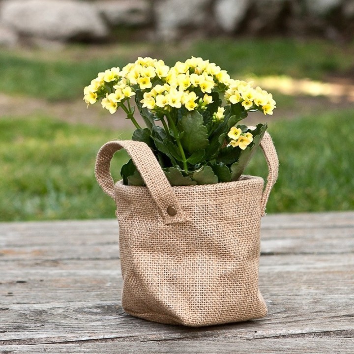 Цветущий каланхоэ в эко-сумке - отличный подарок на все случаи жизни