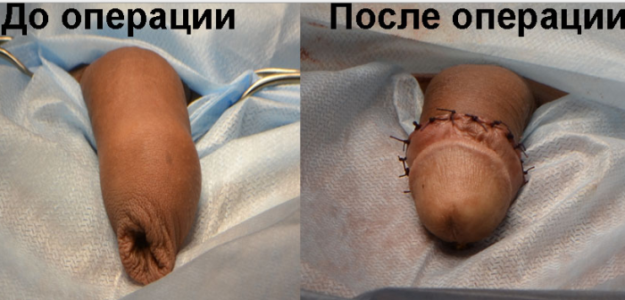 Скачать Программу Для Обрезания Фото На Русском Языке Бесплатно - фото 2
