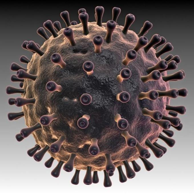 Вирус эпштейна - барр является возбудителем инфекционного мононуклеоза и других болезней, в том числе и онкологических.