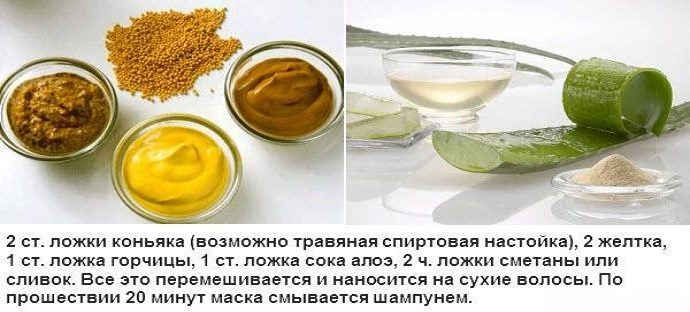 Рецепт с алоэ для сухих волос