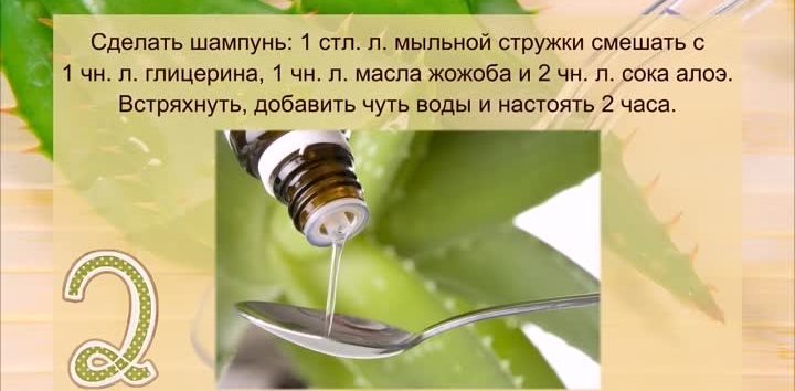 Рецепт шампуня с алоэ