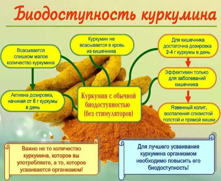 Биодоступность куркумина