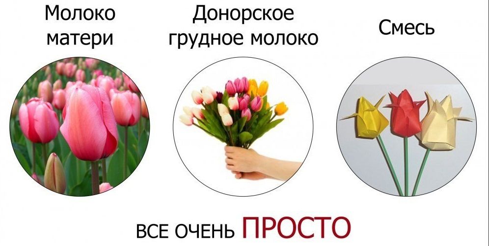 Ценность материнского грудного молока
