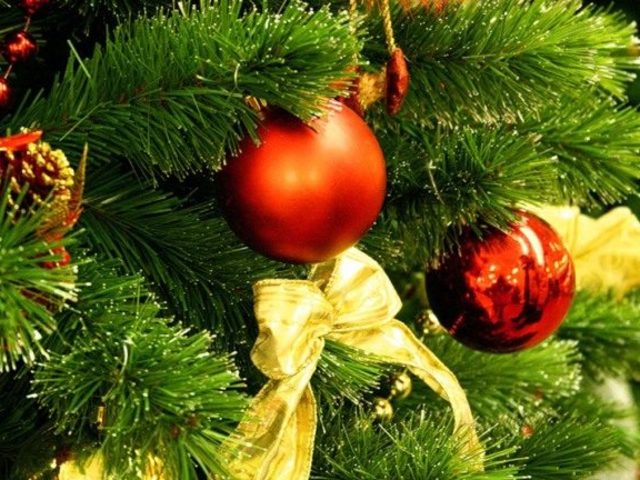Новогодние тосты, загадки, стихи для корпоратива, новогодней вечеринки и новогоднего праздника 2025-2026 года: слова, текст