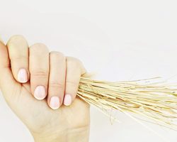 5 главных причин появления секущихся волос. Как восстановить посеченные волосы?