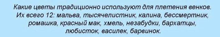 12 цветов для праздничного венка