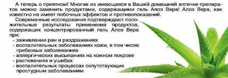 Гель алоэ вера