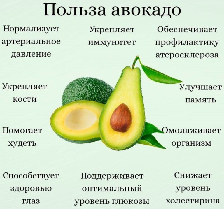 Польза авокадо