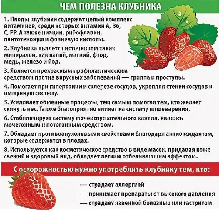 Польза клубники