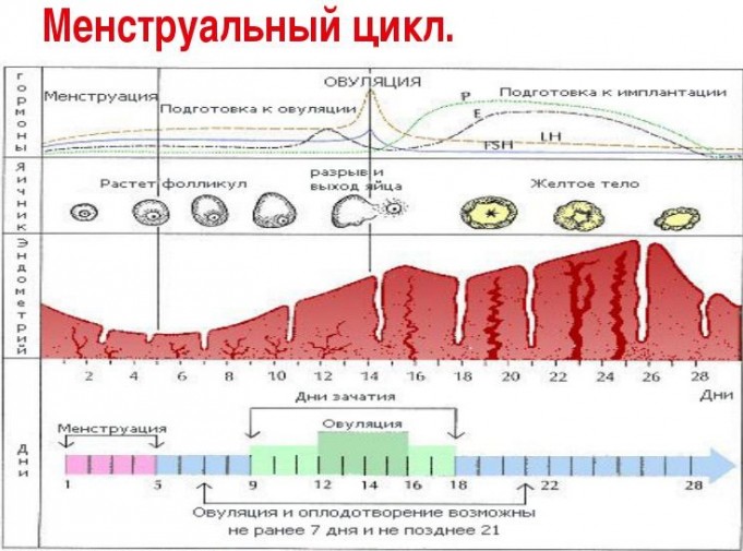 http://heaclub.ru/images/heaclub/2016/02/boleznovboleznklimaksskolkodlitsyaklimaks1-681x505.jpg