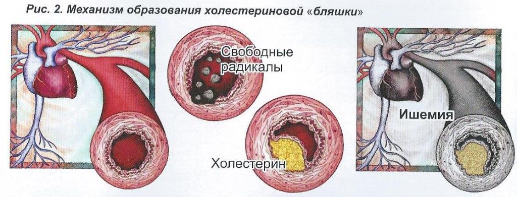 Рис.2_енкомпасс-1024x391