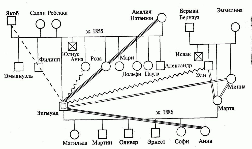 Пример генограммы семьи
