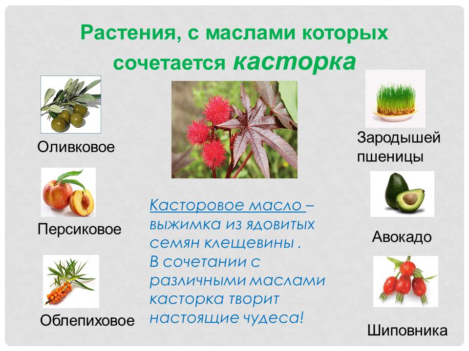 Смесь масел