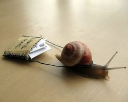 Письмо без ответа? Как писать так, чтобы вам всегда отвечали?