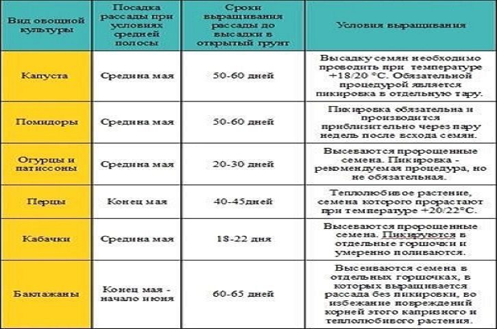 Сроки созревания рассады огородных культур