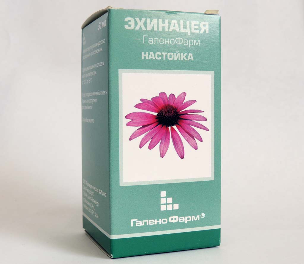 Настойка эхинацеи - одно из самых дешевых противовирусных средств