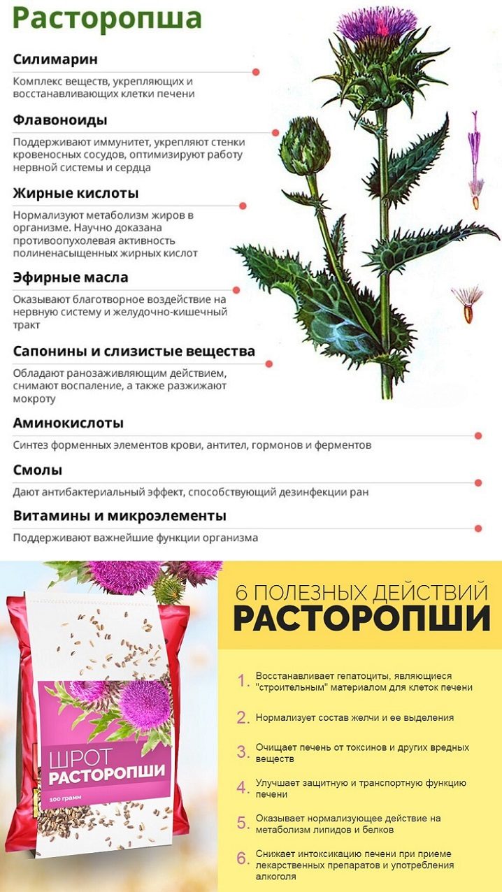 Состав и свойства расторопши