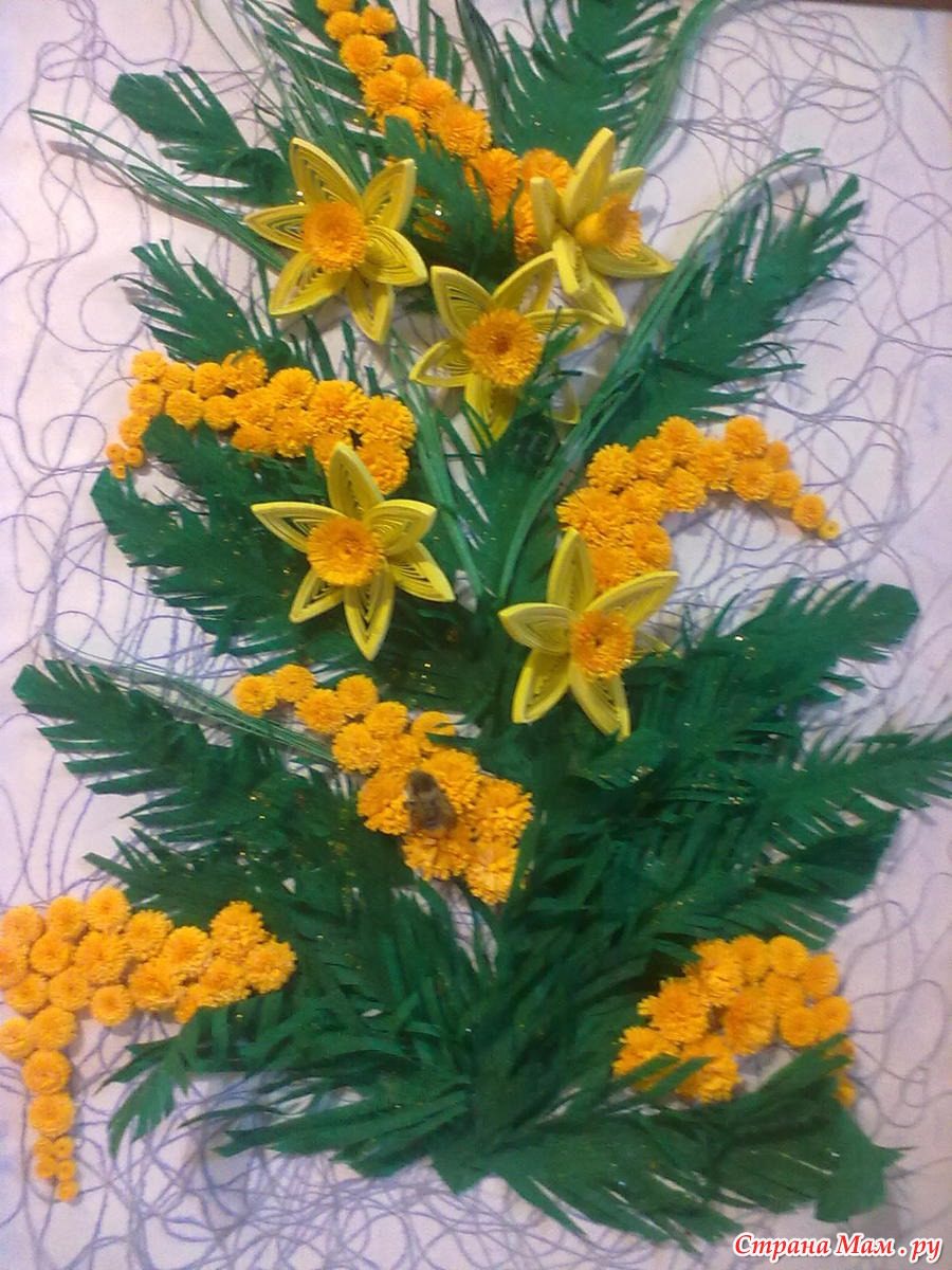 Мимоз
