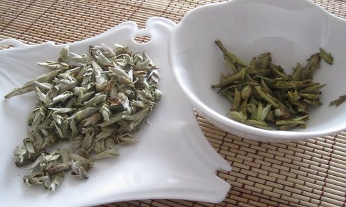 Почечный чай