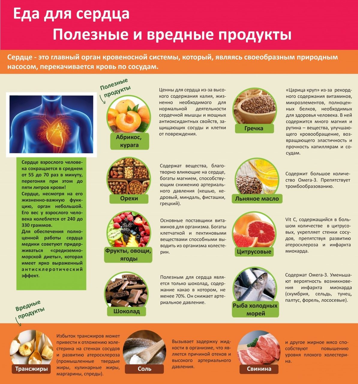 Продукты, полезные и вредные для сердца