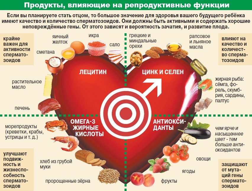 Что нужно съесть, чтобы стать отцом?