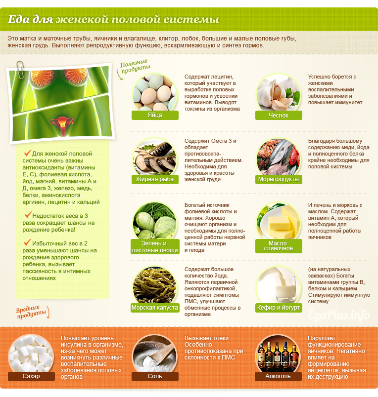 Продукты, необходимые для нормального функционирования женской половой системы