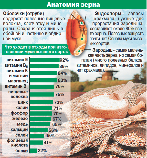 Анатомия зерна